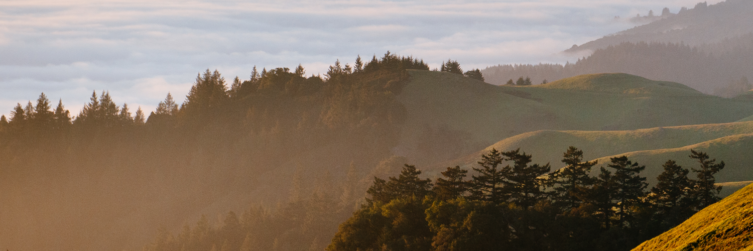 Strava Support banner