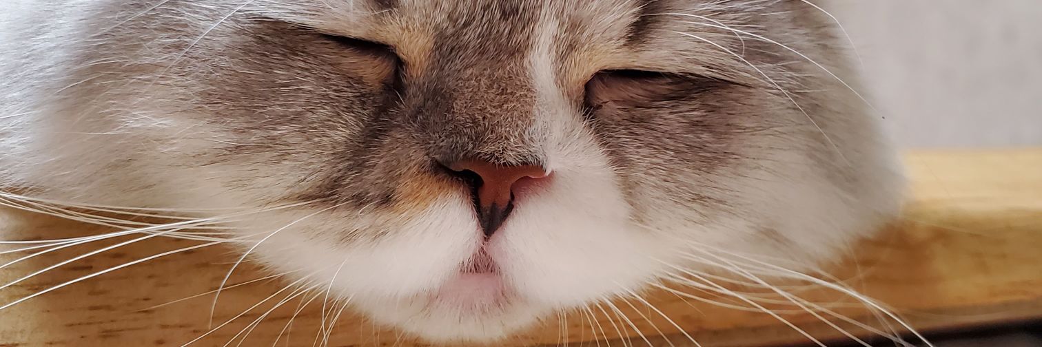 Keeena16's profile banner image