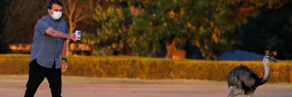 Tom_Flys's profile banner image