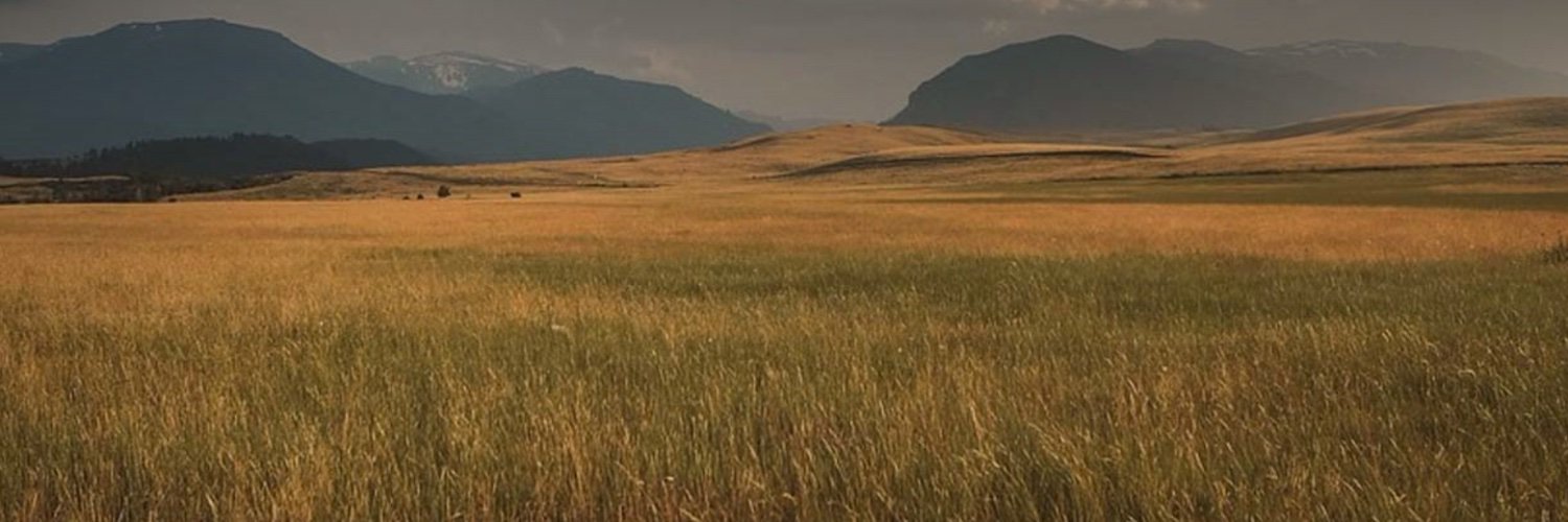 Dakota3337's profile banner image