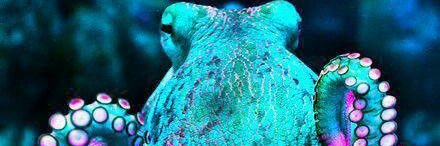 Iainoz's profile banner image