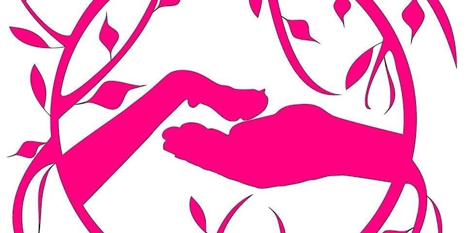 flyballwirral's profile banner image