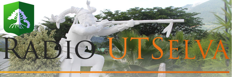 RadioUtselva's profile banner image