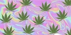cameronmiagdr's profile banner image