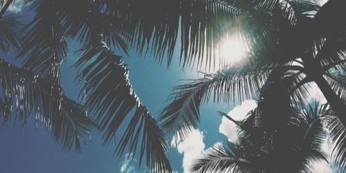 spencertbit's profile banner image