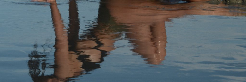 Anna Hebert banner