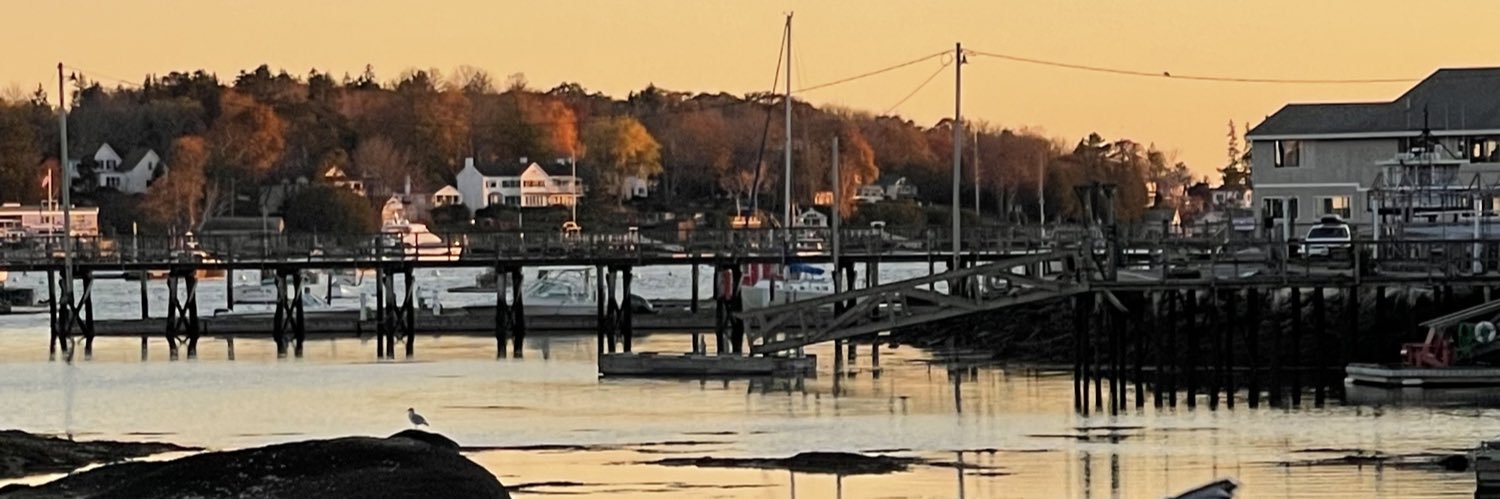 PixieSS ❄️☕️🍀 banner