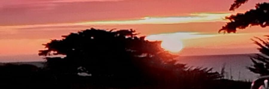 Blue90Elektra's profile banner image