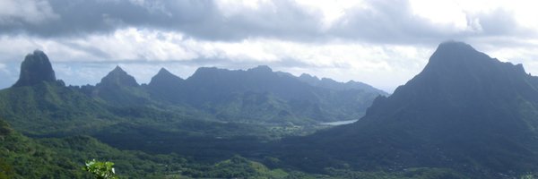joel_nitta Profile Banner