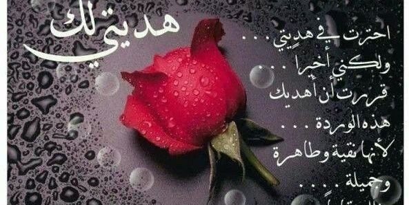 MohmammadSapar's profile banner image