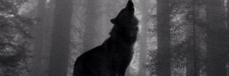 wulfrics's profile banner image