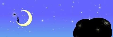 Zu-ll banner