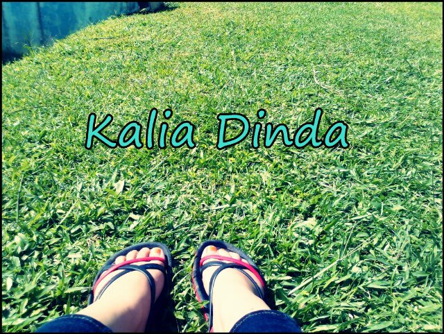 kaliadinda's profile banner image