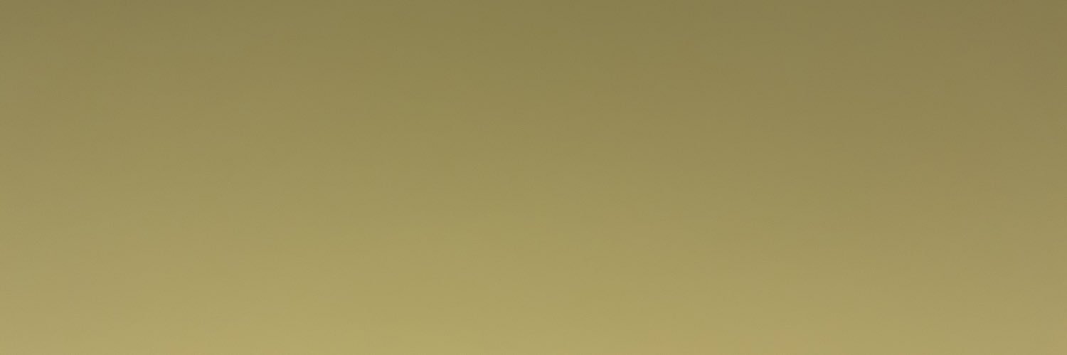 jayldillon's profile banner image