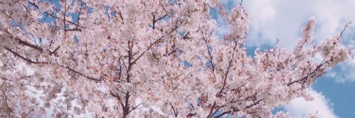 sxxtpj's profile banner image