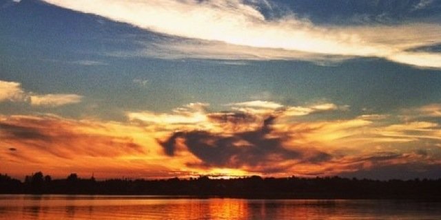 anoukruhup's profile banner image