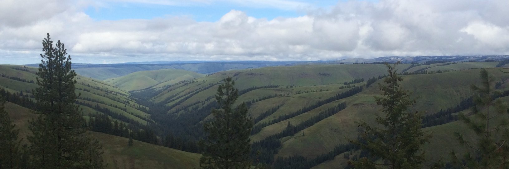 Oregon Sci Project banner