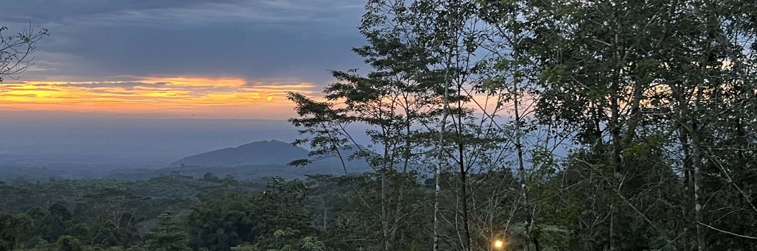 shrmngyy's profile banner image