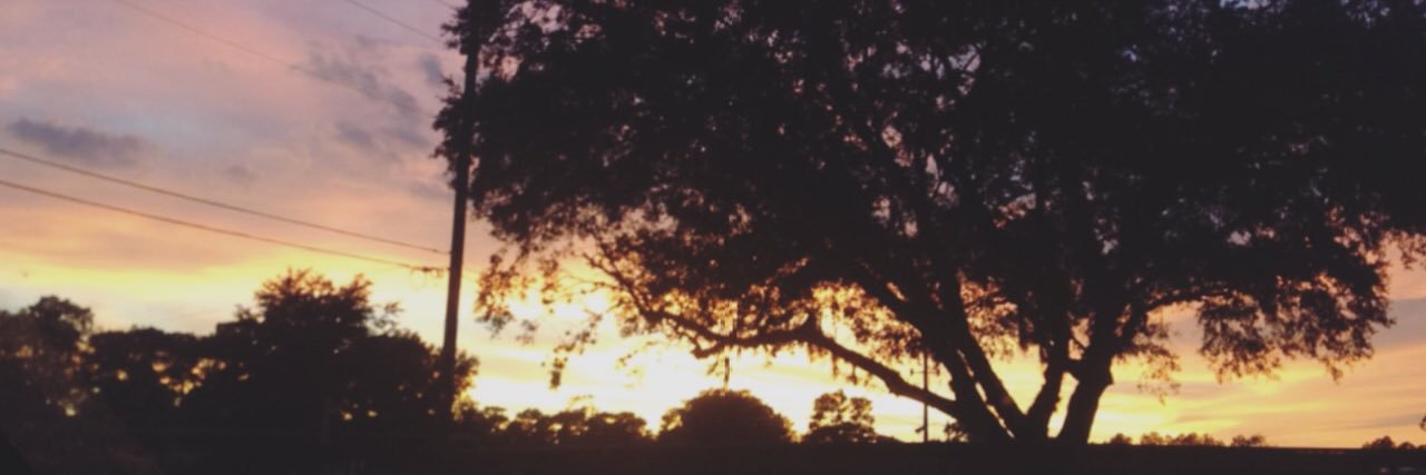 joeellllee's profile banner image