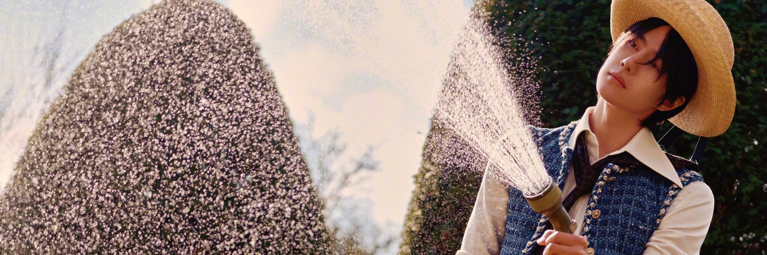pikiotic | ☆*:.｡.o(W1Bo)o.｡.:*☆ banner