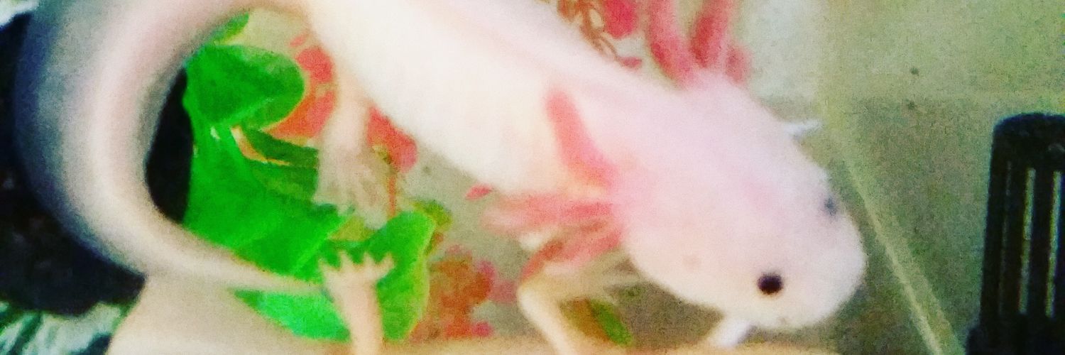 St3amPunkKitty's profile banner image