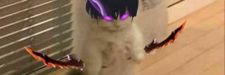 simplyeddiie's profile banner image