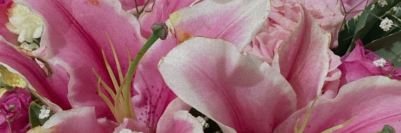 adeliacahyaa's profile banner image