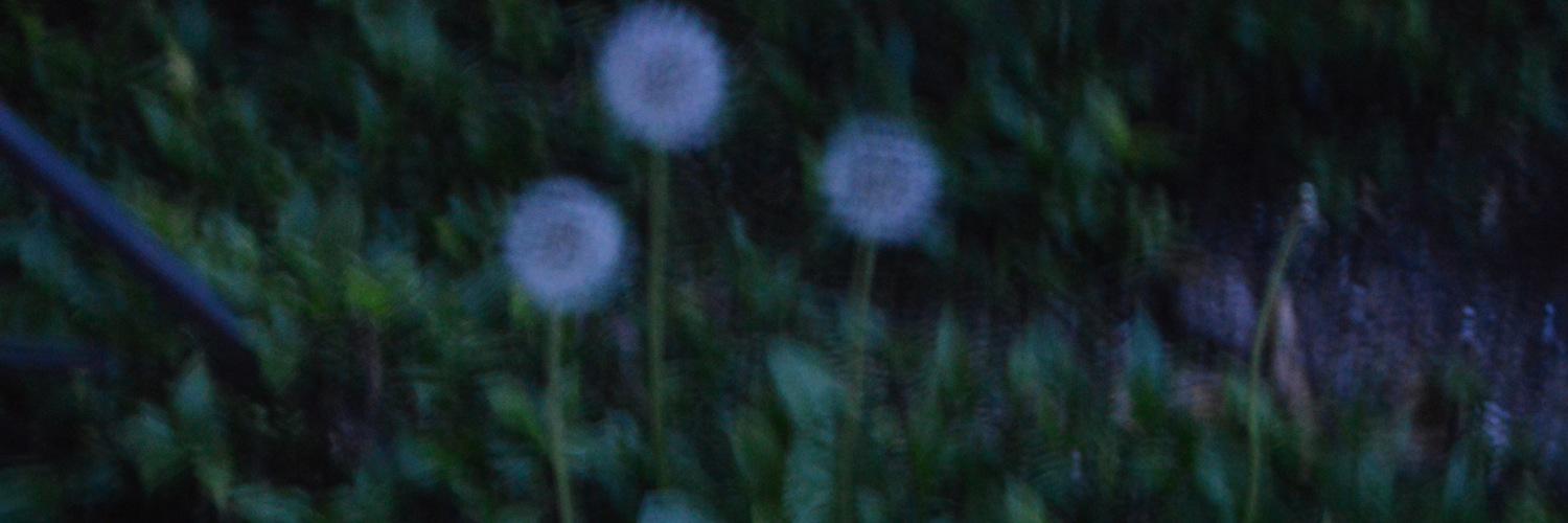 L_AliveSunshine's profile banner image