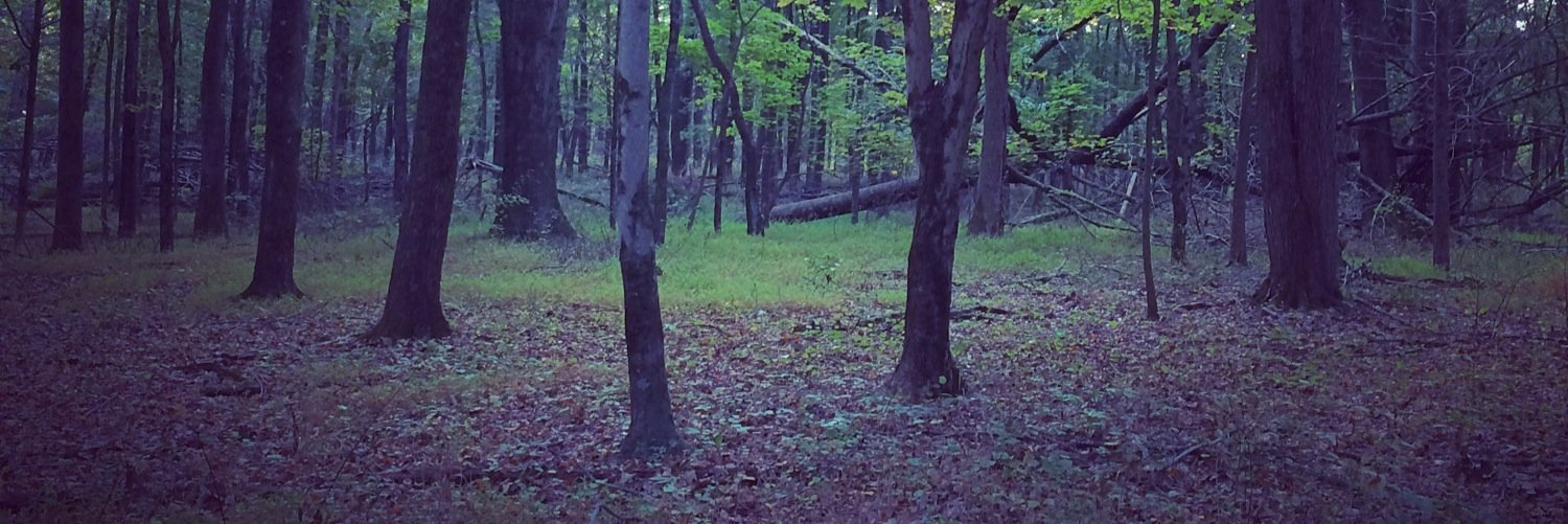 katiatron's profile banner image