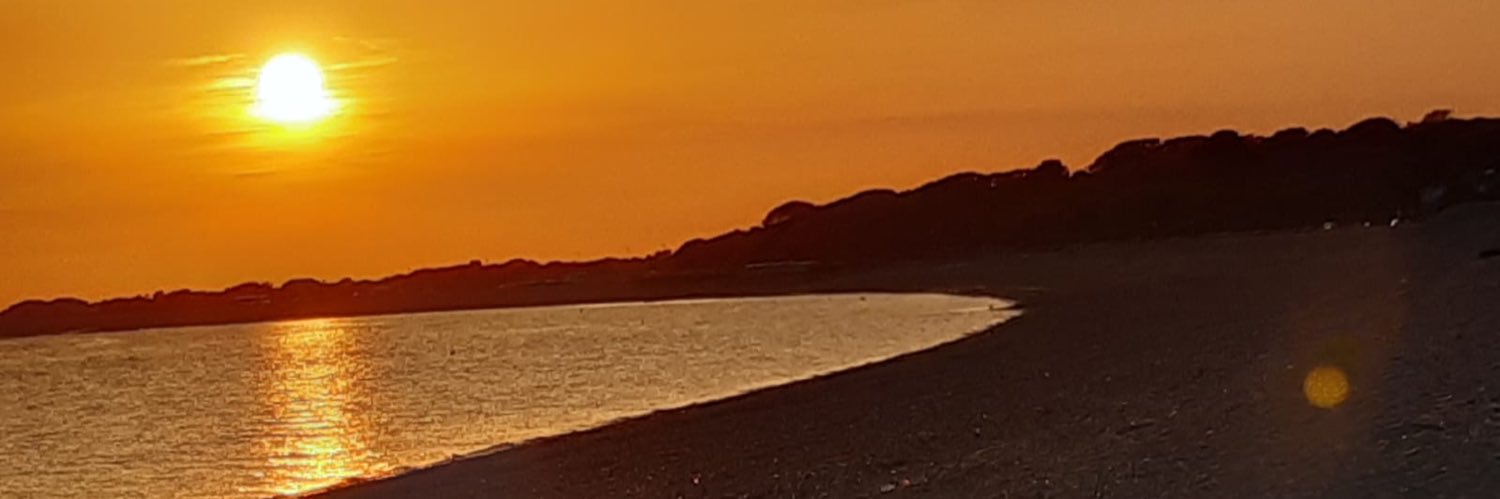 CharlotteRew's profile banner image