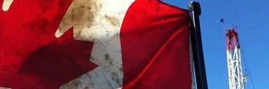 Hamish_Hopkins's profile banner image