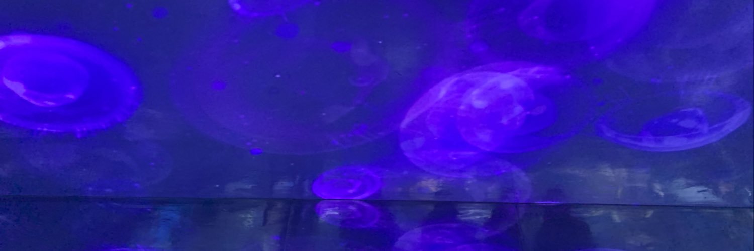 SGRuss0's profile banner image