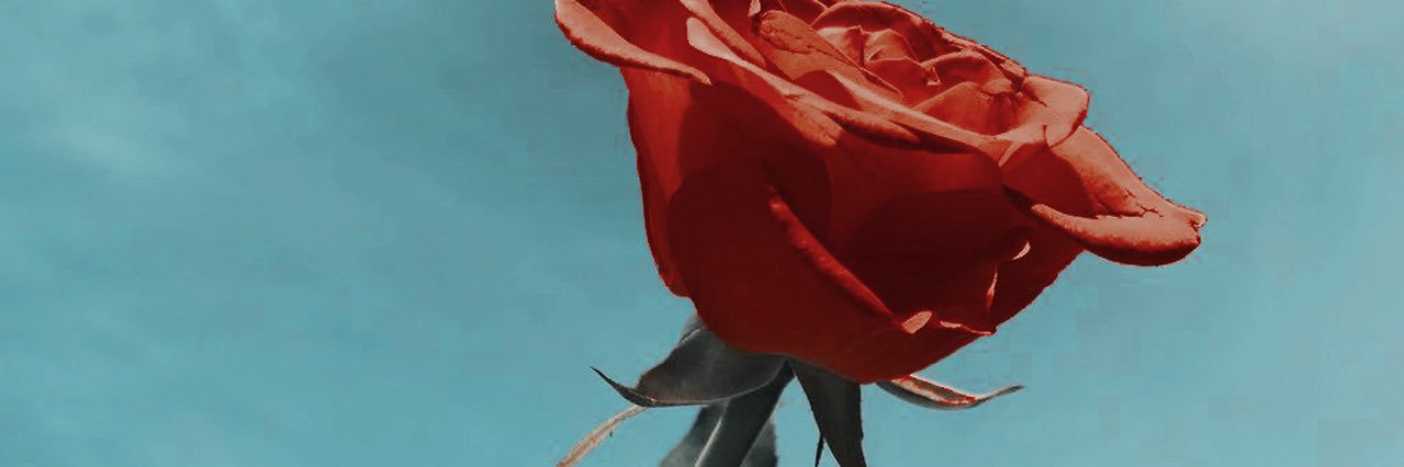 kordeibest's profile banner image