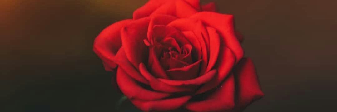 karmwlah's profile banner image