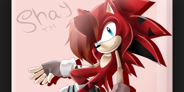 ShayHedghog's profile banner image