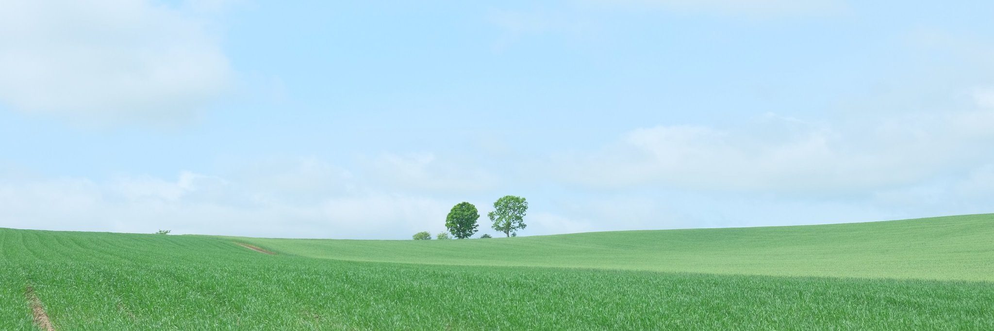 sorairodrive's profile banner image