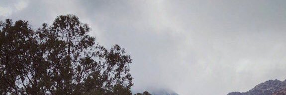 1Ftomoo's profile banner image