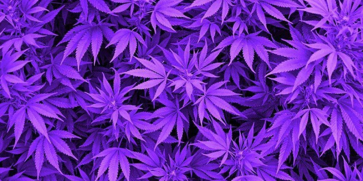KronikTester420's profile banner image