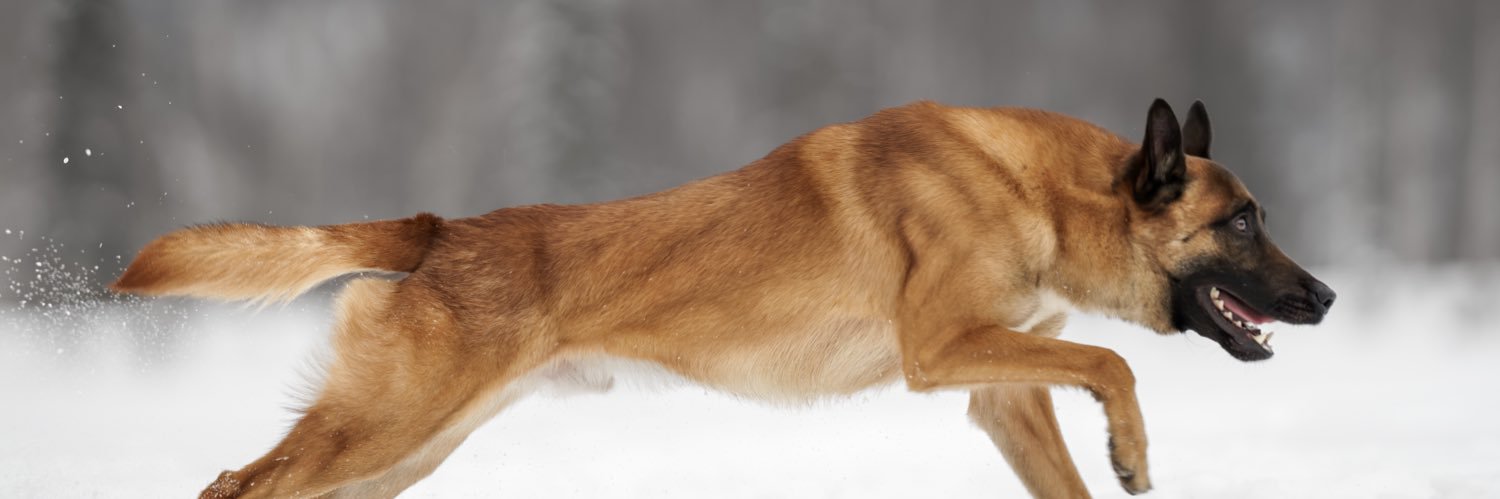 derrstroyer's profile banner image