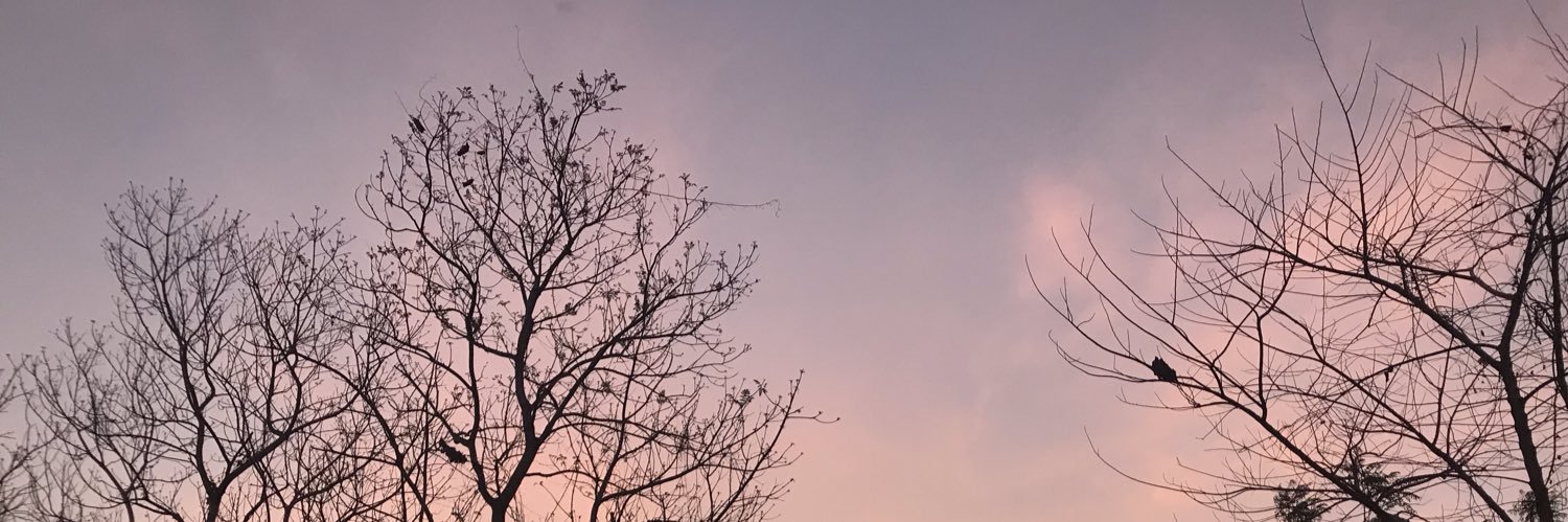 maepiink's profile banner image