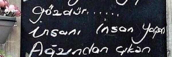 ozaynevin's profile banner image