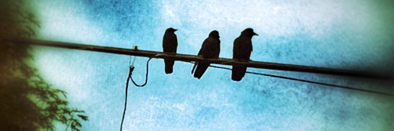 janetbr952's profile banner image