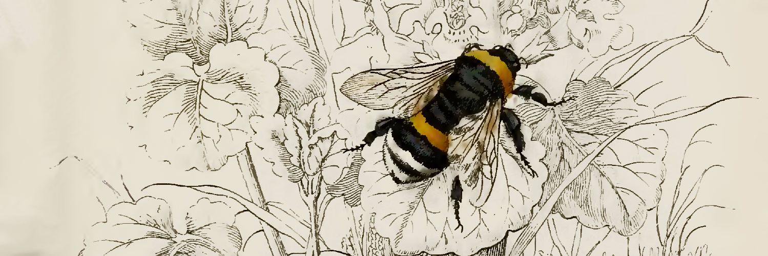 ehive's profile banner image