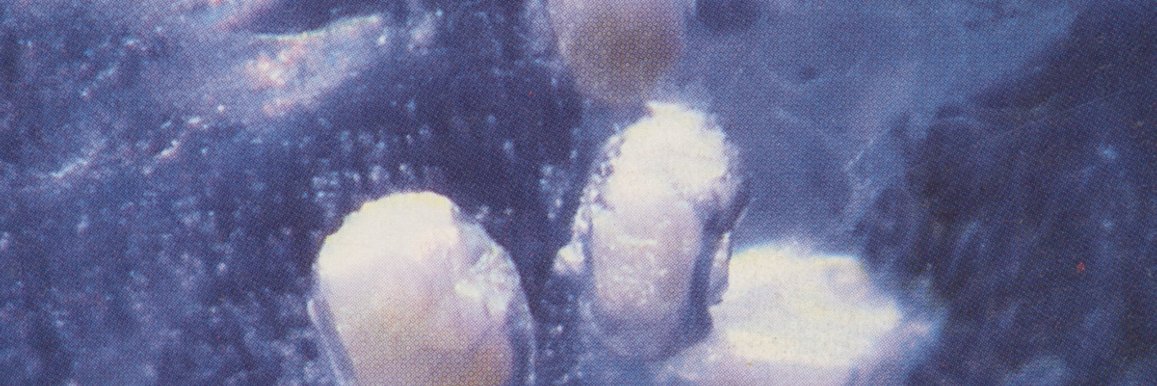 d_hansen's profile banner image
