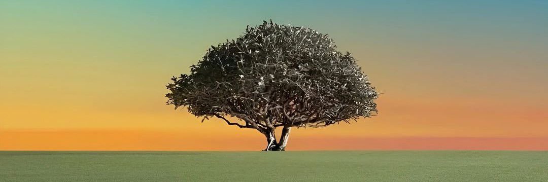 mn_JD1's profile banner image