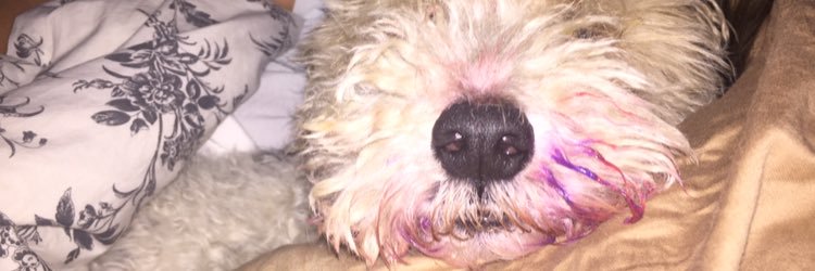 thehenrywatson's profile banner image