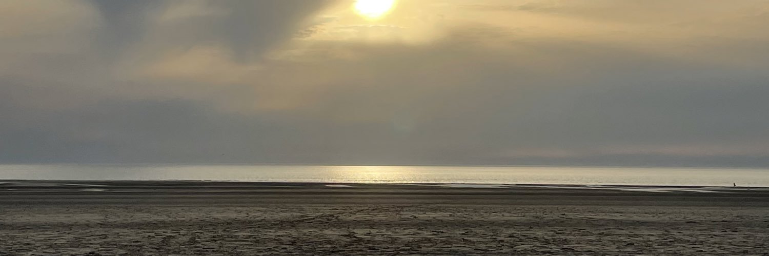 priscillia_dss's profile banner image
