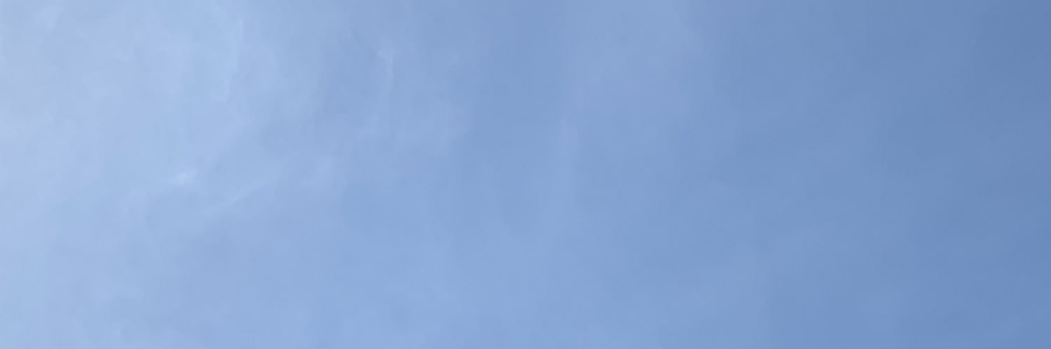 𝗦𝗝 ☻ ☁️💙🌻 banner