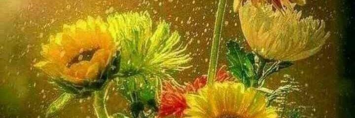 ramamohanvaddi's profile banner image