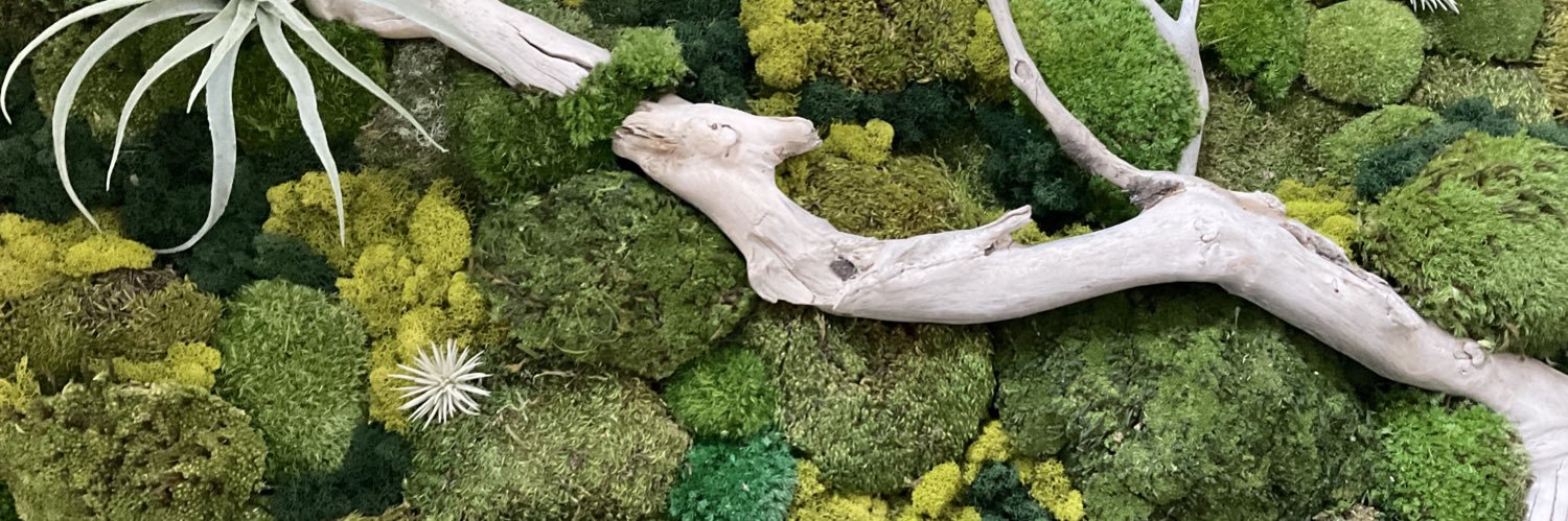 who let the DOGe out ! banner